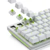 Interruptores mecánicos Glorious Raptor Clicky – 36 unidades