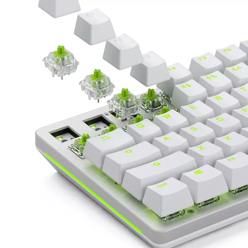 Interruptores mecánicos Glorious Raptor Clicky – 36 unidades