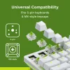 Interruptores mecánicos Glorious Raptor Clicky – 36 unidades