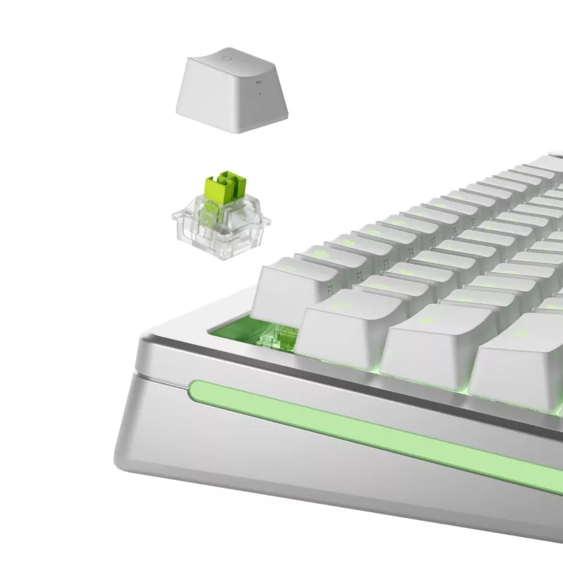 Interruptores para teclado GLORIOUS Raptor HE – 36 unidades, policarbonato, verde claro translúcido, para GMMK 3 HE