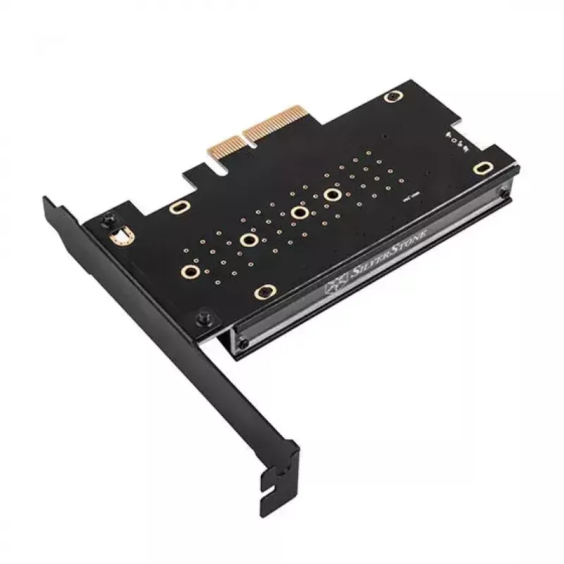 Adaptador M.2 interno Silverstone SST-ECM24-ARGB