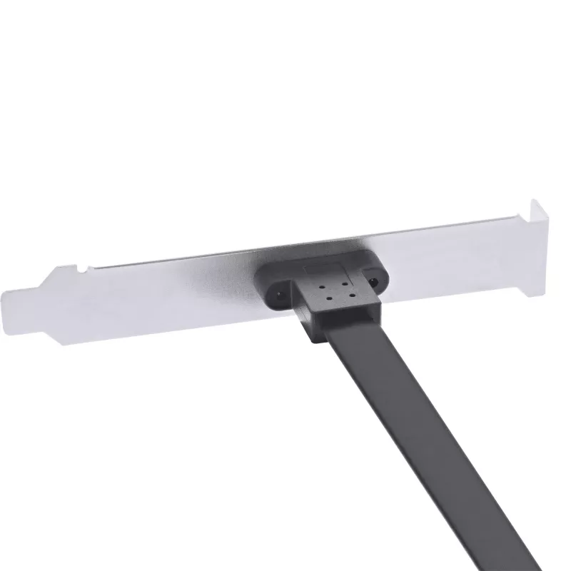 InLine Tapa de ranura PCI, USB-C a USB 3.2 panel frontal Key-A interno, 0,3 m