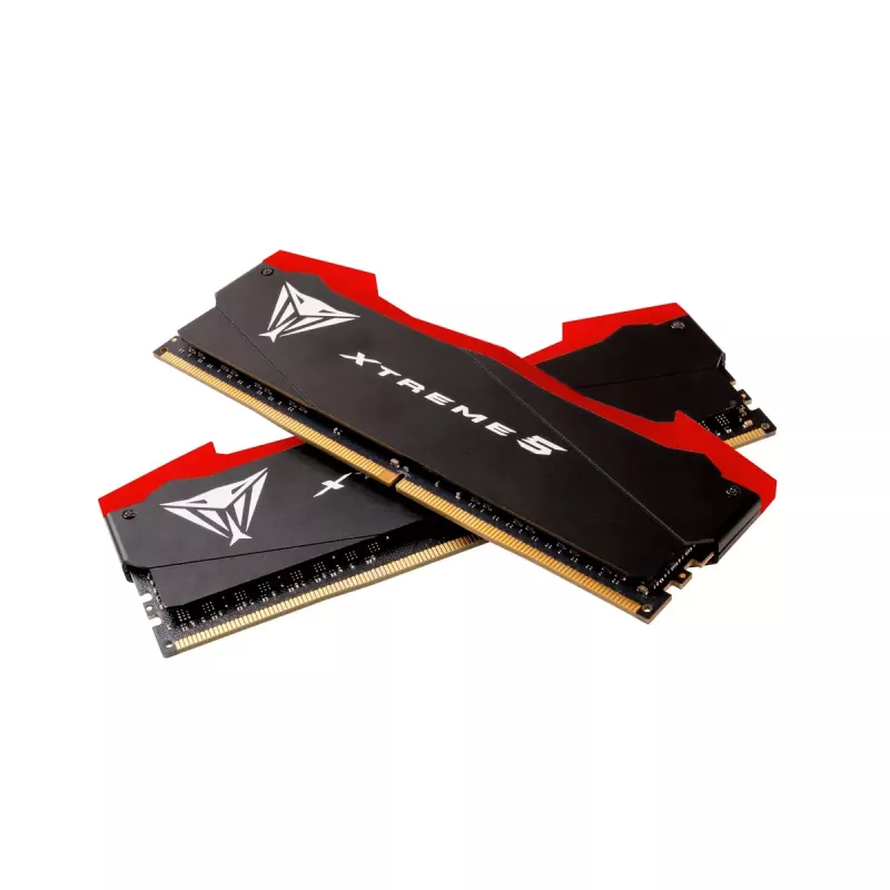 DIMM 48 GB DDR5-8200 (2x 24 GB) Dual-Kit, memoria RAM negra, PVX548G82C38K, Viper Xtreme 5, INTEL XMP