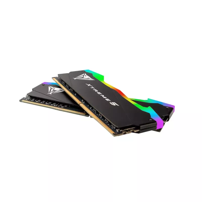 DIMM 32 GB DDR5-8000 (2x 16 GB) Dual-Kit, memoria RAM negra, PVXR532G80C38K, Viper Xtreme5 RGB, INTEL XMP