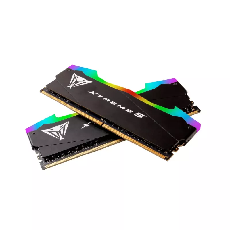 DIMM 32 GB DDR5-8000 (2x 16 GB) Dual-Kit, memoria RAM negra, PVXR532G80C38K, Viper Xtreme5 RGB, INTEL XMP