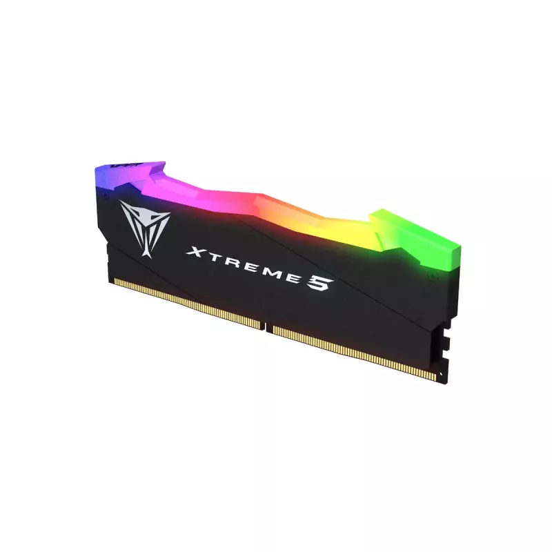 DIMM 32 GB DDR5-8000 (2x 16 GB) Dual-Kit, memoria RAM negra, PVXR532G80C38K, Viper Xtreme5 RGB, INTEL XMP