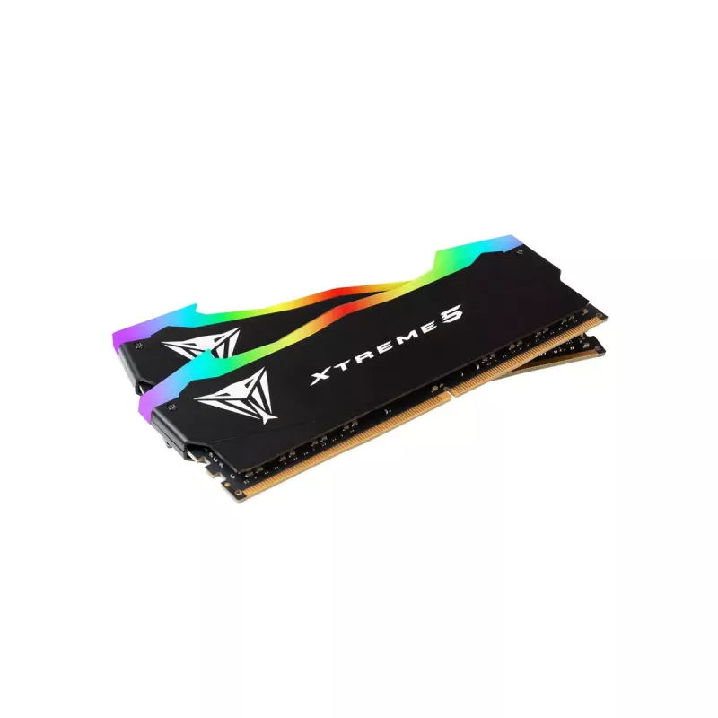 DIMM 32 GB DDR5-8000 (2x 16 GB) Dual-Kit, memoria RAM negra, PVXR532G80C38K, Viper Xtreme5 RGB, INTEL XMP