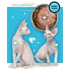 3Coty comida húmeda con pato para gatos adultos, 80 g