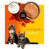 Comida húmeda para gatos 3coty pollo con krill para gatitos, 80 g, alimento completo, sin azúcar, sin gluten ni soja