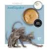 3Coty comida húmeda para gatitos con pavo y pollo, 80 g