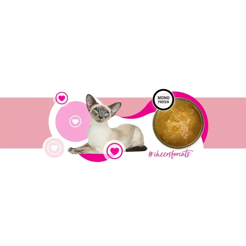 Comida húmeda para gatos 3coty Turkey Cheers 75 g — gatos adultos, ración individual complementaria, 80 % humedad, 6 % proteína