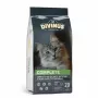 Pienso seco para gatos DIVINUS Cat Complete 20 kg — alimento de mantenimiento para gatos adultos, pollo, 30% proteína, 12% grasa