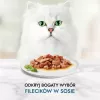 Comida húmeda para gatos Purina Nestlé GOURMET Perle Mini Filetes en salsa, bolsa 60 x 85 g, gatos adultos, 80% humedad