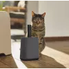 Rotho Biala pala para arena de gatos con bolsas, antracita