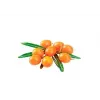 Comida húmeda para gatos SHELMA rica en pavo en salsa 85 g — adulto, sin gluten, apta para alergias alimentarias