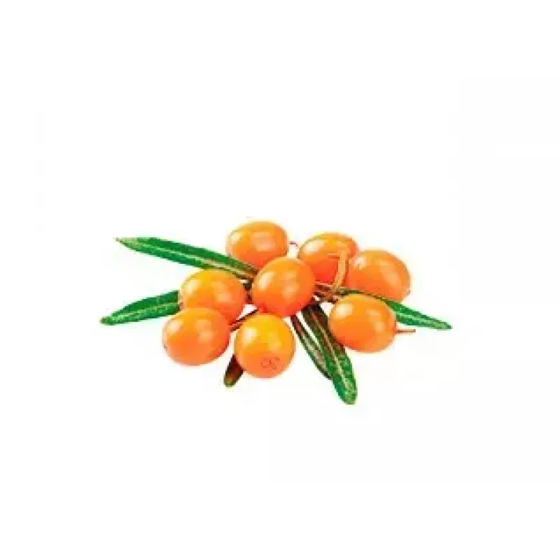 Comida húmeda para gatos SHELMA rica en pavo en salsa 85 g — adulto, sin gluten, apta para alergias alimentarias
