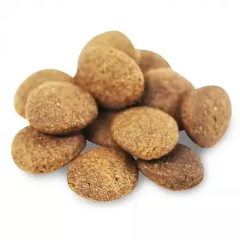 Pienso para perros FISH4DOGS Superior Senior Medium Salmon — 12 kg, sin cereales, para perros mayores de talla mediana
