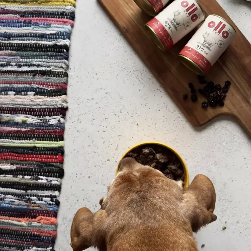 OLLO Pure comida húmeda de cerdo para perros, 850 g
