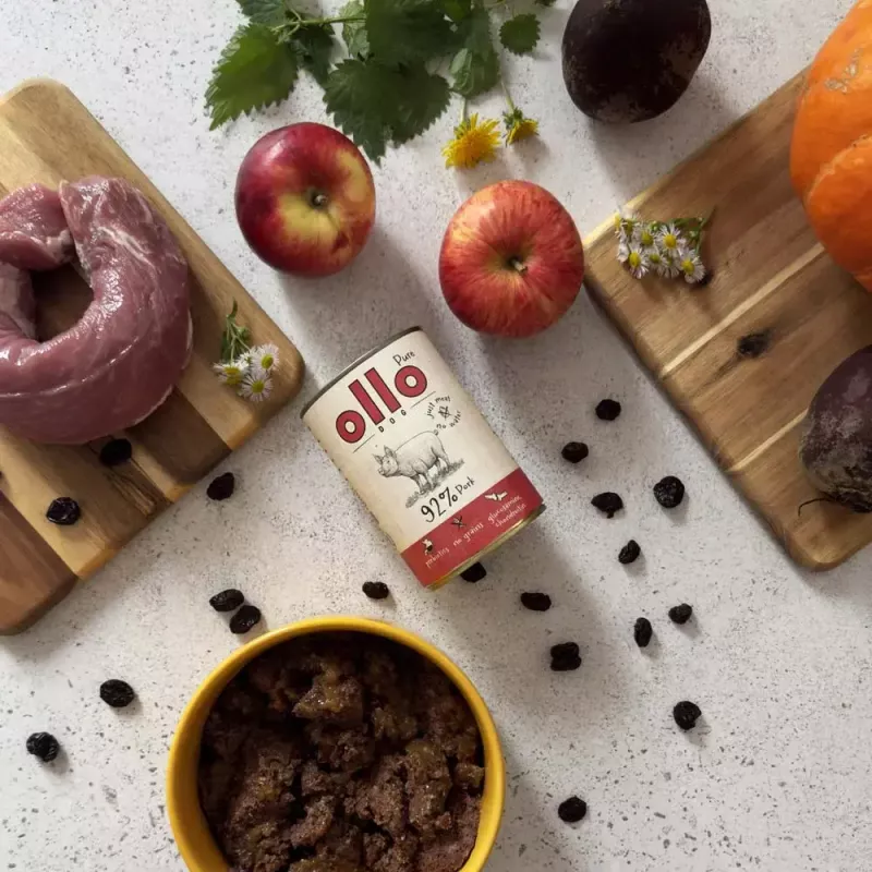 OLLO Pure comida húmeda de cerdo para perros, 850 g