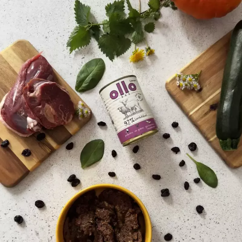 Comida húmeda para perros OLLO Umami Cordero y ternera 850 g — adultos, sin cereales, sin gluten ni soja