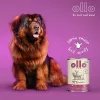 Comida húmeda para perros OLLO Umami Cordero y ternera 850 g — adultos, sin cereales, sin gluten ni soja