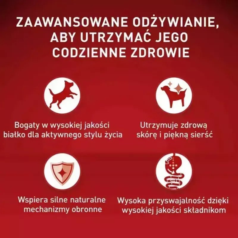 Purina One Mini/Small Active comida húmeda para perros con ternera, 85 g