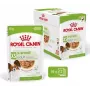 Royal Canin X-Small Adult comida húmeda para perros, 12 x 85 g