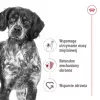 Royal Canin SHN Medium Adult comida seca para perros, 4 kg