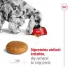 Royal Canin SHN Medium Adult comida seca para perros, 4 kg