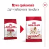 Royal Canin SHN Medium Adult comida seca para perros, 4 kg