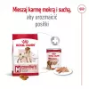 Royal Canin SHN Medium Adult comida seca para perros, 4 kg