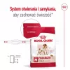 Royal Canin SHN Medium Adult comida seca para perros, 4 kg
