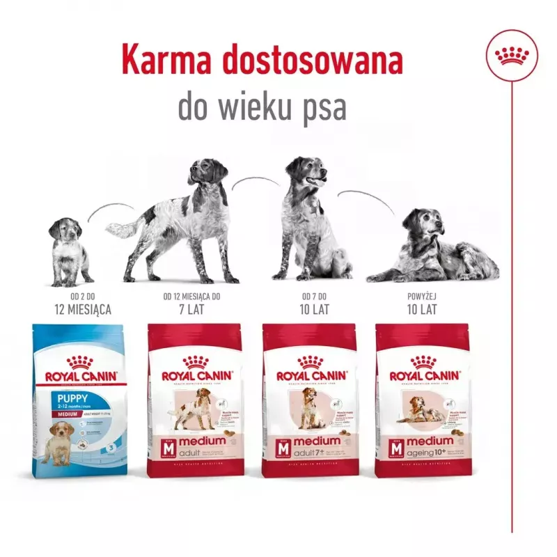 Royal Canin SHN Medium Adult comida seca para perros, 4 kg