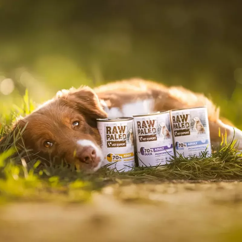 VETEXPERT RAW PALEO Adult Monoprotein Duck 400 g comida húmeda para perros, sin gluten, sin soja, para alergias alimentarias