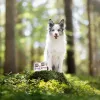 VETEXPERT RAW PALEO Puppy monoproteína pato, comida húmeda para cachorros, 400 g