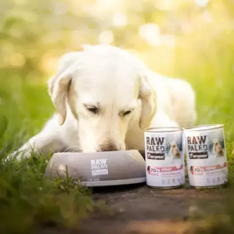 VETEXPERT RAW PALEO Adult monoproteína cerdo, comida húmeda para perros, 400 g