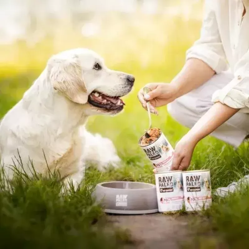VETEXPERT RAW PALEO Adult monoproteína cerdo, comida húmeda para perros, 400 g