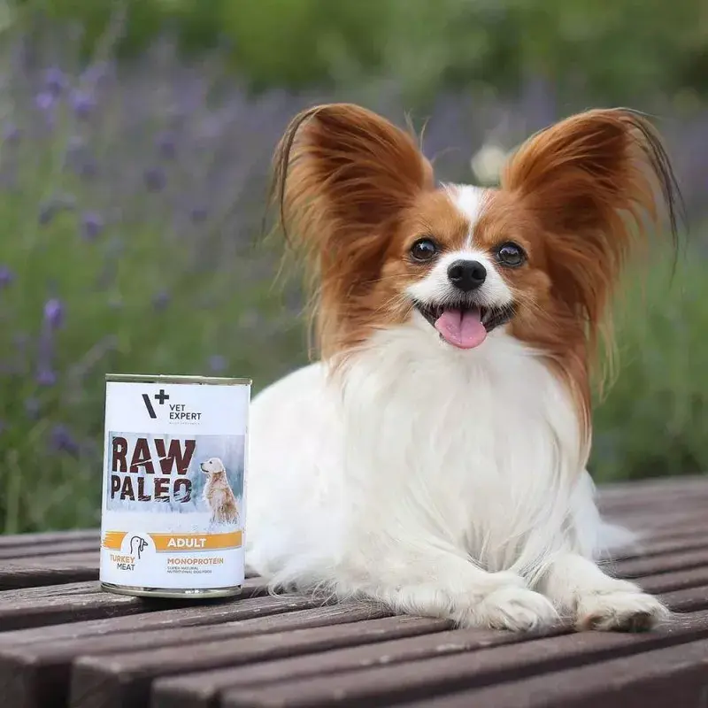 Comida húmeda para perros VETEXPERT RAW PALEO Adult Monoprotein pavo 800 g lata, sin cereales, sin gluten, para alergias alimentarias