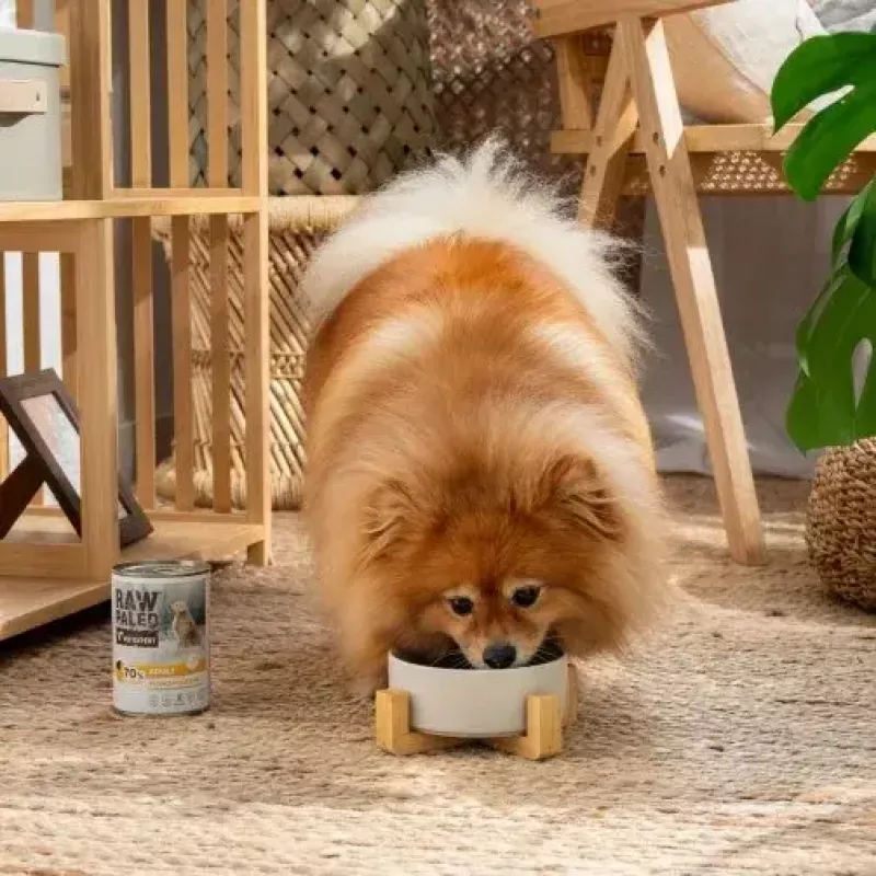 Comida húmeda para perros VETEXPERT RAW PALEO Adult Monoprotein pavo 800 g lata, sin cereales, sin gluten, para alergias alimentarias
