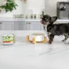 Comida húmeda para cachorros VETEXPERT RAW PALEO Pâté Mini Beef — lata monoproteica de ternera 150 g para cachorros de razas pequeñas