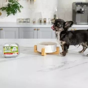 Comida húmeda para cachorros VETEXPERT RAW PALEO Pâté Mini Beef — lata monoproteica de ternera 150 g para cachorros de razas pequeñas