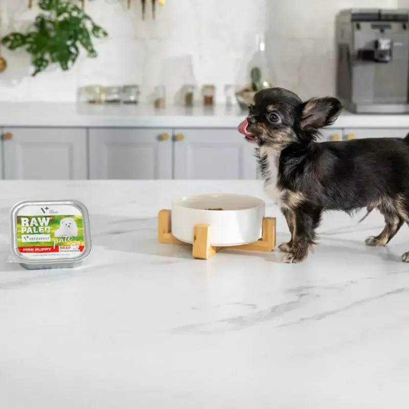 Comida húmeda para cachorros VETEXPERT RAW PALEO Pâté Mini Beef — lata monoproteica de ternera 150 g para cachorros de razas pequeñas