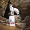 VETEXPERT RAW PALEO Ultra Mini Adult vacuno, pienso para perros, 2 kg
