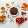 Comida seca para cachorros VETEXPERT RAW PALEO Ultra Medium & Large Beef 2 kg – ternera, proteína 30,5 %, grasa 16,5 %