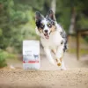 Comida seca para cachorros VETEXPERT RAW PALEO Ultra Medium & Large Beef 2 kg – ternera, proteína 30,5 %, grasa 16,5 %