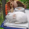 Ferplast Rabbit 120 jaula para conejos
