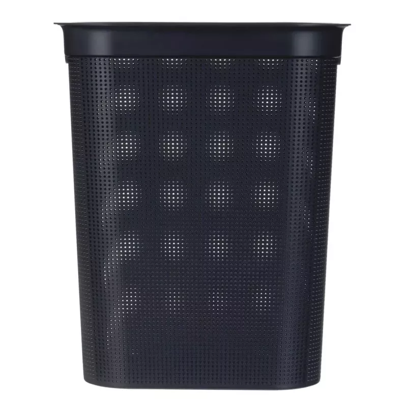 Rotho Brisen 1023508080 cesto para la ropa sucia, 50 l, negro