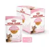 Royal Canin Feline Health Nutrition Kitten Sterilised comida húmeda, 12 x 85 g