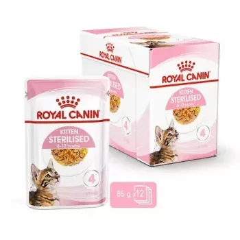 Royal Canin Feline Health Nutrition Kitten Sterilised comida húmeda, 12 x 85 g