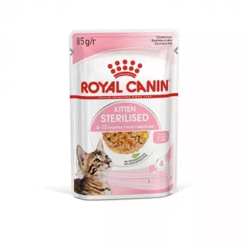Royal Canin Feline Health Nutrition Kitten Sterilised comida húmeda, 12 x 85 g